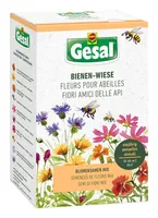 Gesal 2535302039 seme e bulbo di fiori Semi di fiori