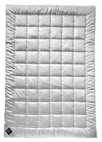 Billerbeck Clivia Light 1 pc(s) Microfibre 160 x 210 cm
