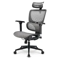 Bürostuhl OfficePal C40M