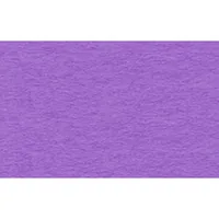 URSUS Tonzeichenpapier A4, 130 g/m², 100 Blatt, Lila - Papierformat: A4 - Selbstklebend: Nein - Papierfarbe: Lila - Papiertyp: Tonzeichenpapier - Mediengewicht: 130 g/m² - Verpackungseinheit: 100 Stück