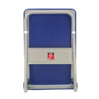 AW WAREHOUSE TROLLEY 4-WHEEL 300KG PLATFORM 90x60cm