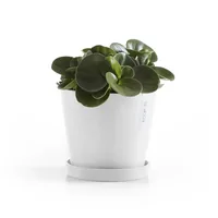 Ecopots Unterteller Rund 20, Weiss - Detailfarbe: Weiss - Material: Recycling-Kunststoff
