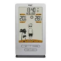 TFA-Dostmann Weather Jack Silver Battery