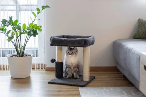 Kerbl Kratzbaum Rosi Anthrazit, 40 x 40 x 48 cm - Produkttyp: Kratzbaum - Tierart: Katze - Detailfarbe: Anthrazit - Höhe: 48 cm - Anzahl Liegeplätze: 2 ×