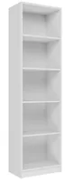 Topeshop R50 BIEL office bookcase