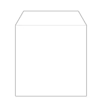 MediaRange CD Paperbag 100pcs,ohne Fenster, Retailpack