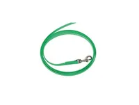 Grossenbacher 52101303G laisse pour chiens et chats 3 m Vert Polyester Universel Laisse éducative