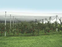 Windhager Hagelschutz Netz 5 x 4 m - Vlies Art: Hagelschutz