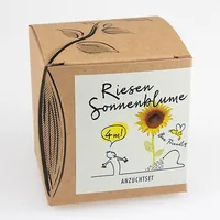 Naturkraftwerke Riesensonnenblume Flower seeds Annual / Perennial Sunflower