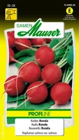 Samen Mauser 10408044 vegetable seed Radish