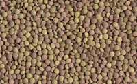 Tetra TabiMin 0.036 kg