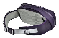 Hori NSX-094E portable game console case Shoulder bag Nintendo Purple