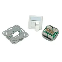 Telegärtner Dose AMJ45 UP/50 2 x RJ-45 Kat.6 Class E alpinweiss