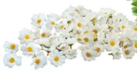 Dekomat AG Kunstblume Margeriten 72 Stück - Produkttyp: Schnittblumen und Zweige - Detailfarbe: Gelb - Weiss - Detailmaterial: Polyester (PES) - Grundmaterial: Polyester (PES)