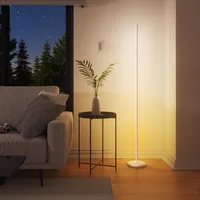 Nanoleaf NL7204K0201A070 smart lighting Intelligente Bodenbeleuchtung Wi-Fi/Bluetooth 22 W