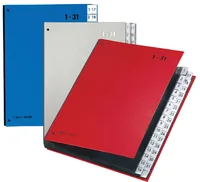 PAGNA Pultordner Color A4 24329-14 silber 1-31