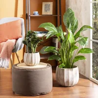 scheurich Blumentopf Runa 2.1 l, Crème - Detailfarbe: Crème - Aufhängevorrichtung: Nein - Detailmaterial: Keramik - Grundmaterial: Keramik