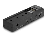 Delock USB Type-C Konverter für 1 x M.2 NVMe SSD +