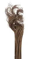 Opiflor Curly Ting natur - Produkttyp: Naturmaterialien - Detailfarbe: Hellbraun