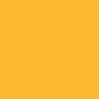RAINBOW Papier mittelorange/22 A4 88043101 FSC, 120g 250 Blatt