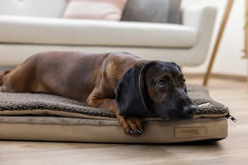 Kerbl Multifunktionsmatratze 72 x 50 x 5 cm - Produkttyp: Bett - Tierart: Hund - Detailfarbe: Braun - Breite: 72 cm - Länge: 50 cm