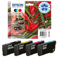 EPSON Tintenpatrone 503 cyan T09Q24010 WF-2960/65 165 Seiten