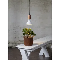 Star Trading Leuchtmittel Plant Light 800cd 16 W E27 - Betriebsart: Netzbetrieb - Spektrum Min.: 580 Nm - Spektrum Max.: 680 Nm - Dimmbar: nicht dimmbar - Anwendung: Anzucht (Keimlinge) - Wachstum - Lampensockel: E27