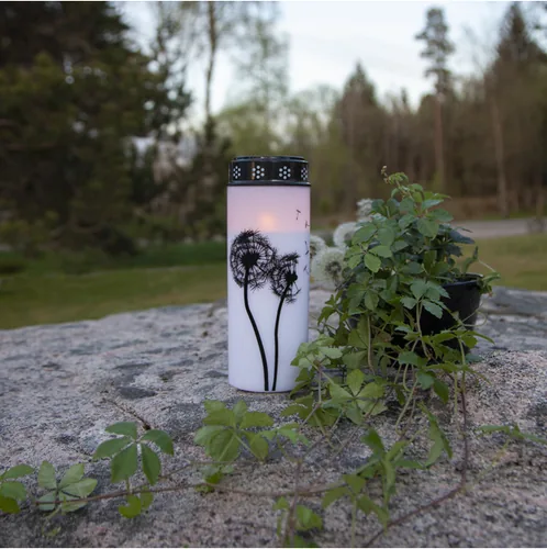 Star Trading LED Grabkerze Löwenzahn, Ø 7 x 21 cm, Weiss - Betriebsart: Akkubetrieb - Batteriebetrieb - Aussenanwendung: Ja - Höhe: 21 cm - Timerfunktion: Ja - Set: Nein - Farbe: Weiss