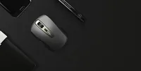 Rapoo Kabellose Multi-Modus-Maus ""MT350"", Schwarz
