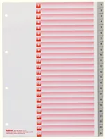 KOLMA Register KolmaFlex A4 18.324.03 grau 1-24