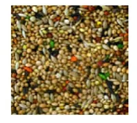 Eric Schweizer Ziervogelfutter Qualitätsmischung Exoten, 1 kg - Packungsgrösse: 1 kg - Tierart: Ziervogel - Saison: Alljahresfutter - Produkttyp: Hauptfutter