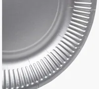 PRONAPPE 79311I disposable dish Plate