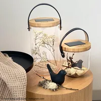 Krinner LUMIX Deco Glass Basic table lamp 0.01 W LED Transparent