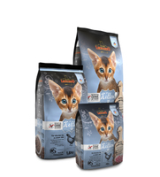 Leonardo Cat Food Trockenfutter Kitten getreidefrei, 300 g - Tierbedürfnis: Wachstum & Trächtigkeit - Geschmacksrichtung: Geflügel - Zertifikate: Keine Zertifizierung - Fleischsorte: Geflügel - Packungsgrösse: 0.3 kg - Futtereigenschaft: Ohne künstliche Z