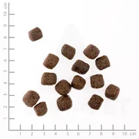 Wolfsblut Trockenfutter Dog Wild Duck Senior, 2 kg - Tierbedürfnis: Kein besonderes Bedürfnis - Geschmacksrichtung: Geflügel - Zertifikate: Keine Zertifizierung - Fleischsorte: Ente - Packungsgrösse: 2 kg - Futtereigenschaft: Getreidefrei - Ohne künstlich