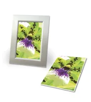 AVERY ZWECKFORM InkJet Fotopapier A4 2559-20 250g,matt, weiss 20 Blatt