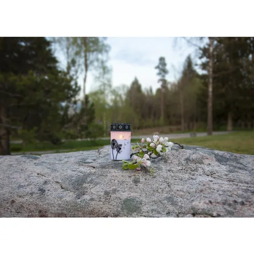 Star Trading LED Memorial Candle Dandelion