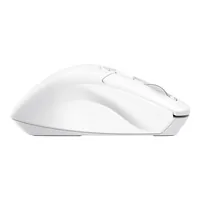 Trust Niven Maus Büro Rechts RF Wireless + Bluetooth 3200 DPI