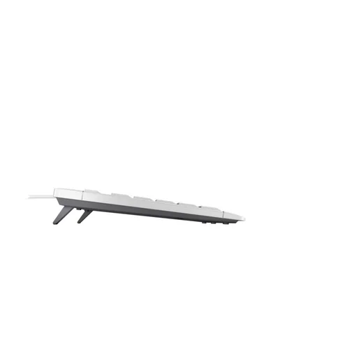 CHERRY STREAM TKL keyboard Universal USB QWERTZ Swiss White