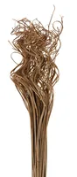 Opiflor Curly Ting natur - Produkttyp: Naturmaterialien - Detailfarbe: Hellbraun