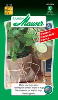 Samen Mauser Samen Urban Gardening Mojito Hugo-Minze - Aussaatzeit: April - Juni - Mai - Sonneneinstrahlung: Sonnig - halbschattig - Saattyp: Urban Gardening - Gemüsegruppen: Kräuter - Erntezeit: August - Juli - Juni - Mai - Oktober - September - Bio Zert