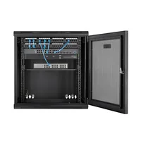 StarTech.com 12HE wandmontage Server Rack - bis zu 43cm tief