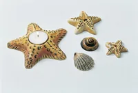 HobbyFun Giessform Meeresbewohner 1 Stück - Zubehörart Basteln: Giessform