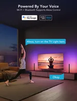 Govee Lichtbalken Flow Plus, RGBIC, WiFi + Bluetooth - Lampensockel: LED fest verbaut - Farbtemperatur Kelvin: Keine Angabe - Aussenanwendung: Nein - Gesamtleistung: 24 W - Leuchten Kategorie: Tischleuchte - Lichtfarbe: RGBIC - farbig (IC-Chip)