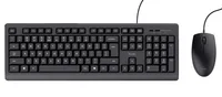 Trust TKM-250 - Tastatur-und-Maus-Set - DE - schwarz