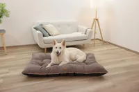 Kerbl 80459 dog / cat bed Pillow pet bed