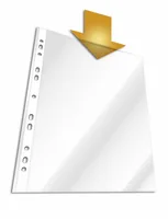DURABLE Zeigetasche A4 100 Stück, Transparent - Typ: Zeigetasche - Ausstattung: Glasklar - Detailfarbe: Transparent - Material: Polypropylen (PP)