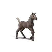 Schleich Sammelfohlen Darcy - Themenbereich: Horse Club - Altersempfehlung ab: 5 Jahren