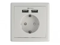 DELOCK Einbausteckdose mit 2 x USB Typ-A Ladeport 2,4 A