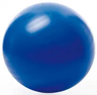 TOGU 408560 exercise ball 55 cm Blue Full-size